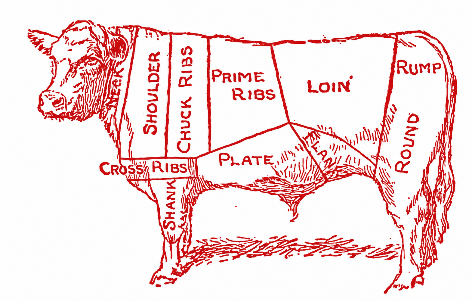 Beef cuts diagram